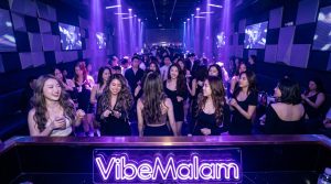 vibemalam-17-april